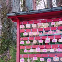 日光二荒山神社の写真・動画_image_259888