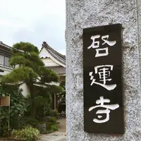 啓運寺の写真・動画_image_260107