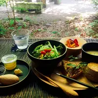 KINONの写真・動画_image_260259