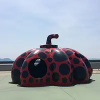 赤かぼちゃの写真・動画_image_260482