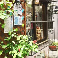 ふくねこ堂の写真・動画_image_261139