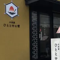 小田原 ひととせの雪の写真・動画_image_261148