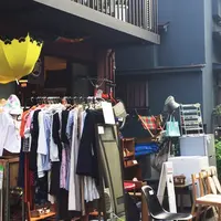 torinothの写真・動画_image_261405