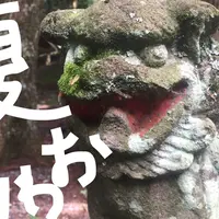 新大阪駅の写真・動画_image_261599