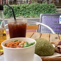 ロータスバゲット （Lotus baguette）の写真・動画_image_262272