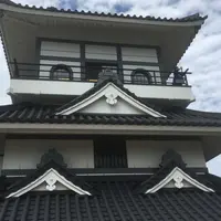 田んぼアートの写真・動画_image_262574