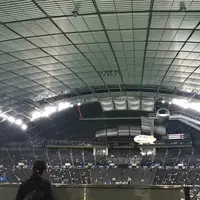 札幌ドームの写真・動画_image_262608