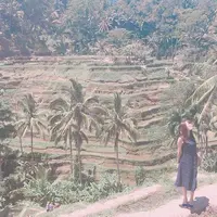 Tegallalangの写真・動画_image_262611