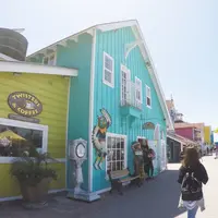 ロング・ビーチの写真・動画_image_262633