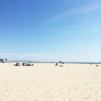 ベニスの写真・動画_image_262643