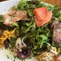 オン ザ カナルの写真・動画_image_262749