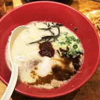 一風堂 六本木店の写真・動画_image_262775