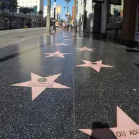 ハリウッド・ウォーク・オブ・フェームの写真・動画_image_263074