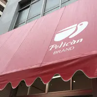 パンのペリカンの写真・動画_image_263094