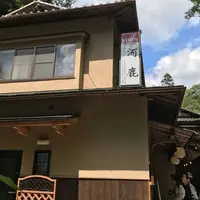 河鹿の写真・動画_image_263191