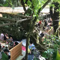 貴船仲よしの写真・動画_image_263205