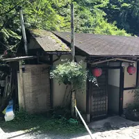 かつらの写真・動画_image_263222