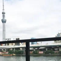 ボン花火の写真・動画_image_263246