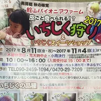 館山パイオニアファームの写真・動画_image_263507