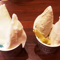 【閉店】ViTO 下北沢店 （ヴィト）の写真・動画_image_263678