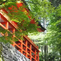 比叡山延暦寺の写真・動画_image_263824