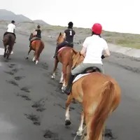 【閉業】ホーストレッキングパーク館山の写真・動画_image_263927