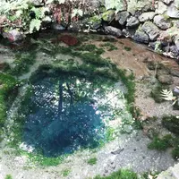 忍野八海の写真・動画_image_264297