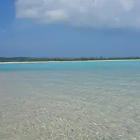 大金久海岸の写真・動画_image_264689