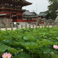 伊賀八幡宮の写真・動画_image_264979