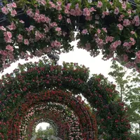 ラグーナテンボスの写真・動画_image_265186