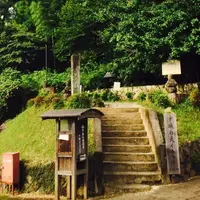 下城の大イチョウの写真・動画_image_265978