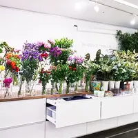 DILIGENCE PARLOURの写真・動画_image_267284