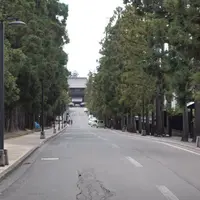 禅林街の写真・動画_image_267451