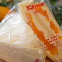 オリーブの写真・動画_image_267699