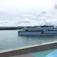 とまりんの写真・動画_image_267704
