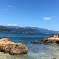 爪木崎の写真・動画_image_267813