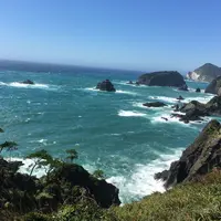 あいあい岬の写真・動画_image_267818