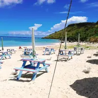 新城海岸の写真・動画_image_268451