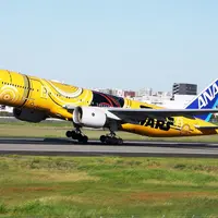 大阪国際空港（伊丹空港）の写真・動画_image_268503