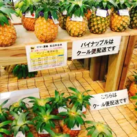 島の駅みやこの写真・動画_image_268632