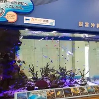 那覇空港の写真・動画_image_268637