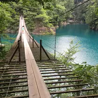 夢の吊橋の写真・動画_image_268955