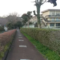 水俣第一小学校の写真・動画_image_269180