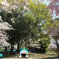 水俣市役所 総合体育館の写真・動画_image_269354