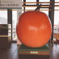 弘前駅の写真・動画_image_269418