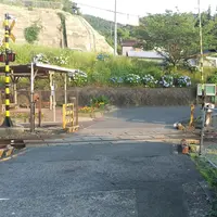 新地踏切の写真・動画_image_269600
