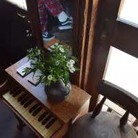 WIFE&HUSBAND（ワイフアンドハズバンド）の写真・動画_image_269751