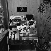 誠光社の写真・動画_image_269789