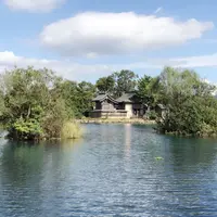 夫婦神の浮島神社の写真・動画_image_269850