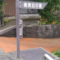 楊貴妃の里の写真・動画_image_270662
